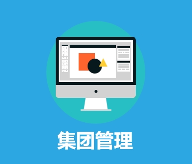 集团管控