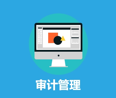 审计管理