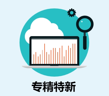 专精特新